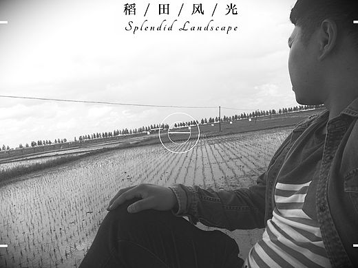 稻田風(fēng)光（個人主頁-ZMzY2MzMwODA=） - 風(fēng)光攝影 - 站酷設(shè)計師信谷姜信原創(chuàng)素材 - 站酷ZCOOL