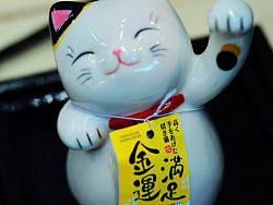 2012-深圳茶博会随拍（续）（个人主页-ZMTc0MjkyOA==） - 人像摄影 - 站酷设计师kl525原创素材 - 站酷ZCOOL