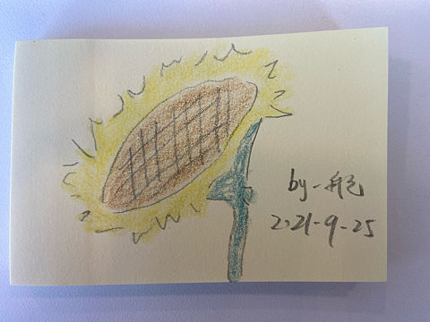 春田小花向日葵