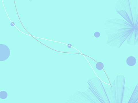 冬日&花--手机壁纸