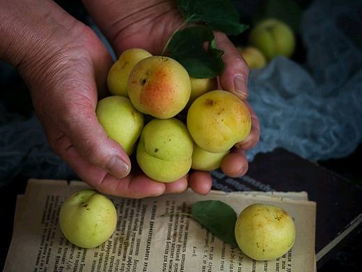 静物农产品青杏子