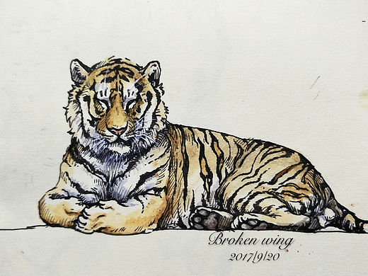 虎（个人主页-ZMjQ5NjU1NTY=） - 绘画 - 站酷设计师翼落原创素材 - 站酷ZCOOL