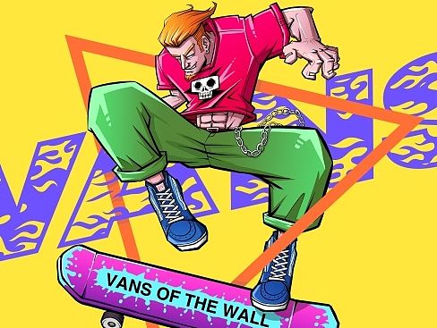 VANS插图