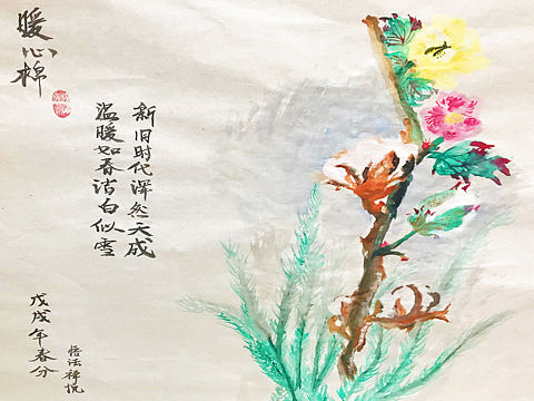 被评委说成是潦草的棉花