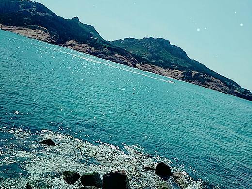 海