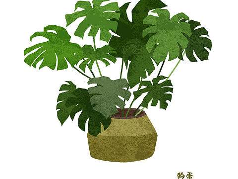 盆栽