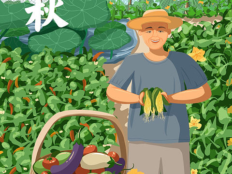 今日立秋