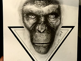 猴年还是要来一只