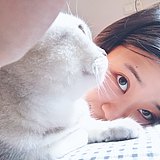 刘一飞Faye的头像