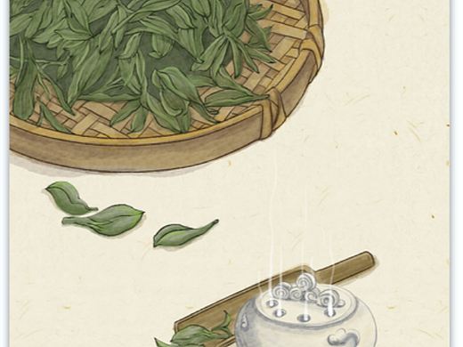 中式古风茶叶原创插画