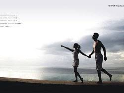 2008年?Royalstar?榮事達(dá)廚衛(wèi)電器畫冊