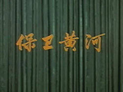 动画