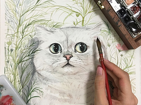 喵吉美貓貓（個人主頁-ZMTg0MTg4NTI=） - 繪畫 - 站酷設(shè)計師西瓜美美美原創(chuàng)素材 - 站酷ZCOOL