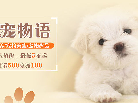 寵物banner（個人主頁-ZNDU2NjIzMTY=） - 宣傳物料 - 站酷設計師林智豪原創(chuàng)素材 - 站酷ZCOOL