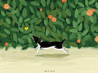 DDEM的奇葩们（个人主页-ZNjE0MzkxMg==） - 商业插画 - 站酷设计师MsOrange橘子小姐原创素材 - 站酷ZCOOL