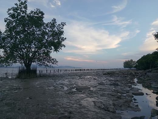 色彩深圳湾