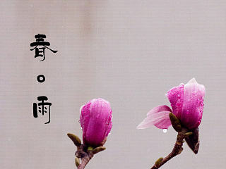 春 雨（個(gè)人主頁(yè)-ZNzQzNjc1Mg==） - 風(fēng)光攝影 - 站酷設(shè)計(jì)師梁家誠(chéng)原創(chuàng)素材 - 站酷ZCOOL