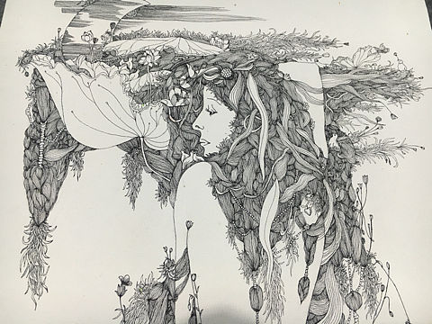 线描临摹