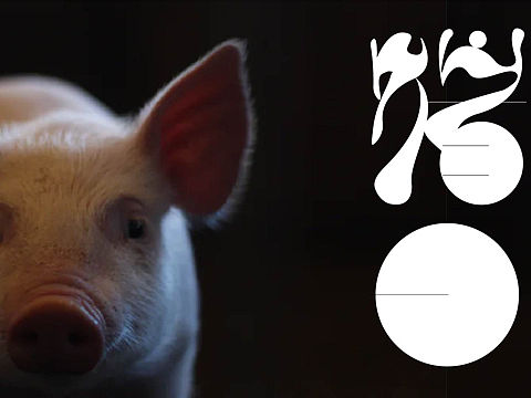 猪曰    字体设计