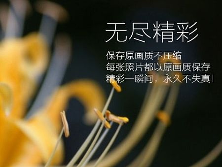 花 -原创 banner图片 练习（个人主页-ZMTI0MDk5MTI=） - 运营设计 - 站酷设计师Ice506原创素材 - 站酷ZCOOL