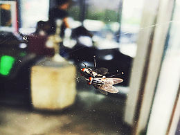 為了將來我們奮不顧身