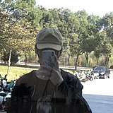 王帆1111的头像