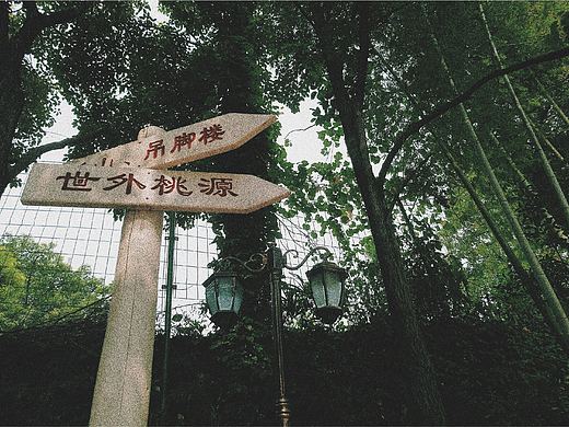 清野小道