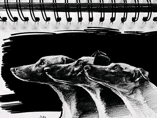 一些旧画——贰