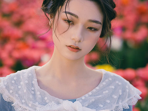 郁金香与你