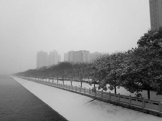郑州的初雪（个人主页-ZMTk0MDYzNDg=） - 风光摄影 - 站酷设计师lztysyld原创素材 - 站酷ZCOOL