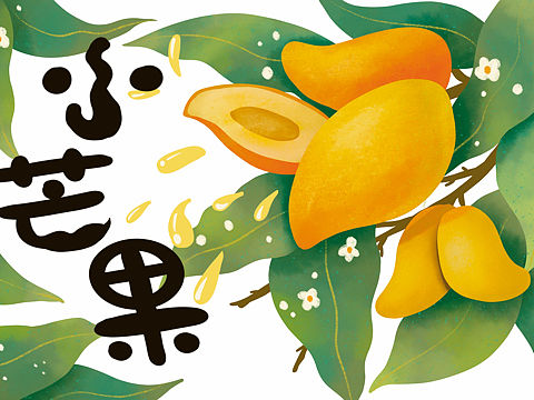 包装插画设计—水果果