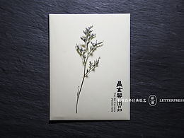 书籍设计
