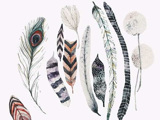 花.鳥.人（個人主頁-ZMTI3OTQzODA=） - 商業(yè)插畫 - 站酷設(shè)計師簍簍開飛機原創(chuàng)素材 - 站酷ZCOOL