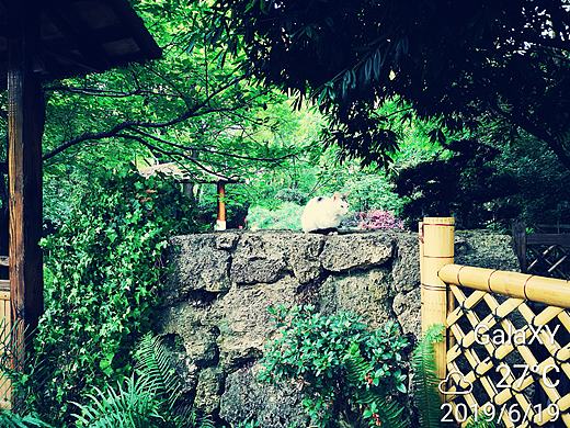 每日一图（个人主页-ZMzY4Njk3NzI=） - 人文/纪实摄影 - 站酷设计师183GalaXY原创素材 - 站酷ZCOOL