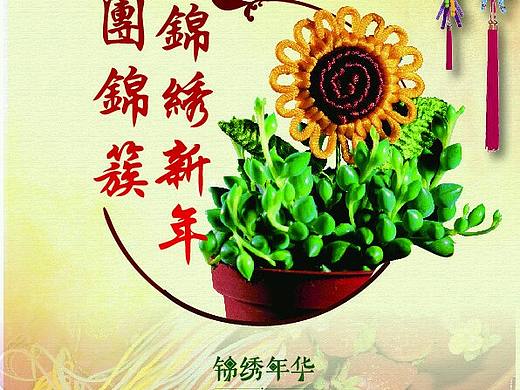 锦绣新年
