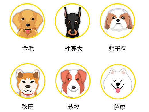 热门狗狗和猫猫图标