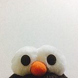 冰箱m的头像