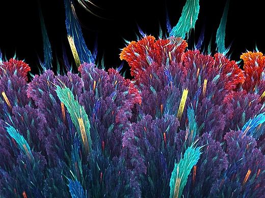  分形(Fractal)三十六辑: 花-叶-树