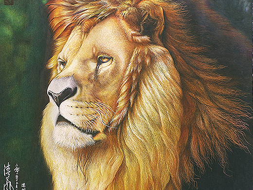 雄狮(写实 手绘彩铅 狮子 )