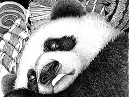 熊貓的理想國之一