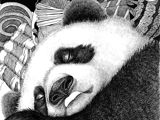 熊猫的理想国之一