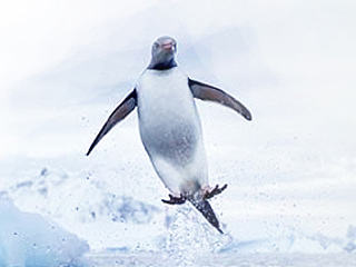 ABC美好社会咨询社（中关村公益广告）（个人主页-ZNjY0NDYzNg==） - 海报 - 站酷设计师末班车_001原创素材 - 站酷ZCOOL