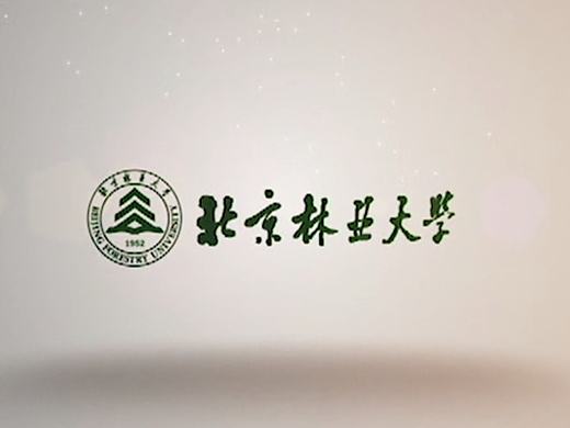 我的大学