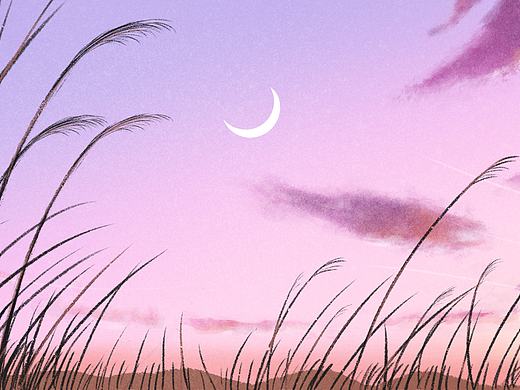 窗低芦苇秋🌾