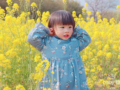 油菜花田里玩闹的刘小糖