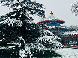 天坛