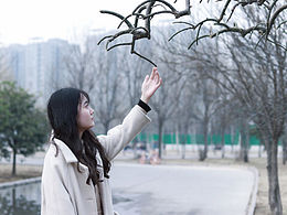 青春年華