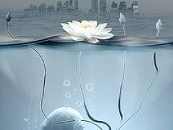 重生（个人主页-ZMjgwNTM3Ng==） - 宣传物料 - 站酷设计师于作原创素材 - 站酷ZCOOL