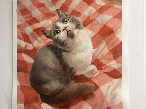 猫咪（个人主页-ZMzQ0MTY5OTY=） - 绘本 - 站酷设计师画画的猴子qsy原创素材 - 站酷ZCOOL