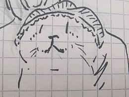流泪猫猫头